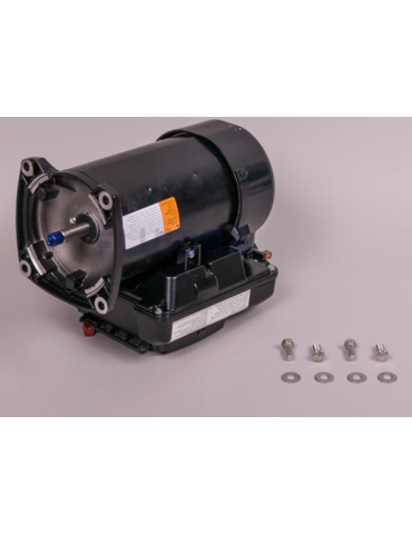 Moteur pompe 50 Hz FloPro...