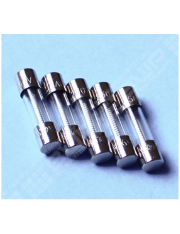 Fusible 2 AT pour série D...