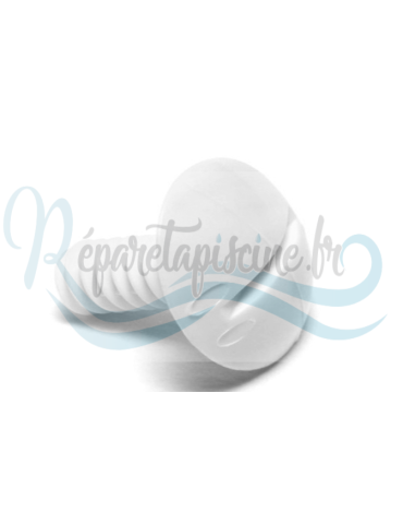 Vis de roue en plastique...