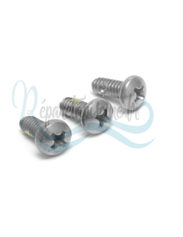 Vis de blocage Polaris 3900s